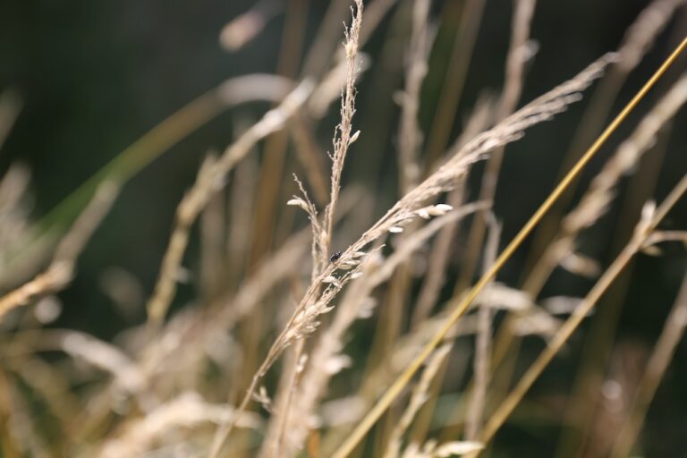 20240707112929_IMG_5743