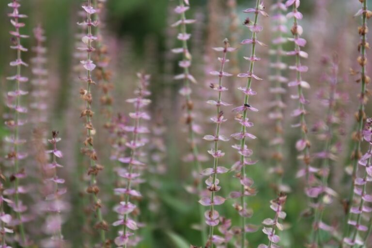 20240713205826_IMG_6056